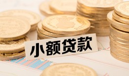 北京应急哪里有小额贷款-北京应急身份证贷款平台-北京应急民间短借